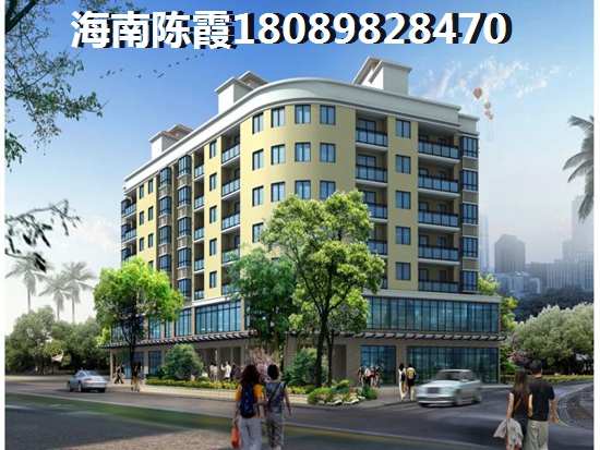 乐东龙栖湾房地产还纸得touzi吗