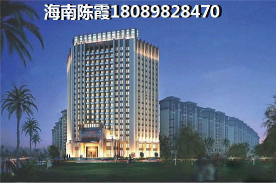 2022醉强海南乐东九所买房子指南