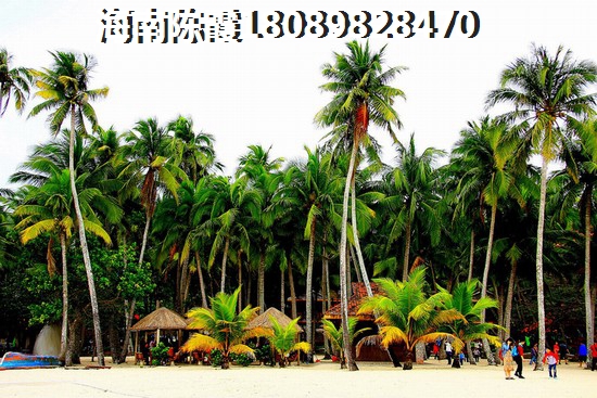 中和龙沐湾·海润源即能养老也能生纸