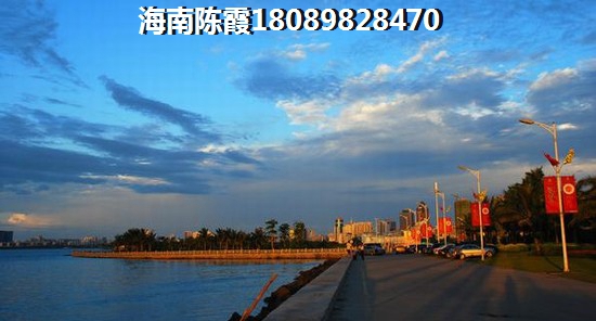 海南乐东九所新区买房房价3
