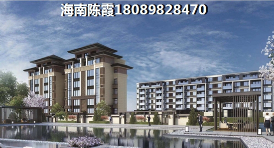海南雁南飞公寓，海南岛哪些公寓适合touzi？
