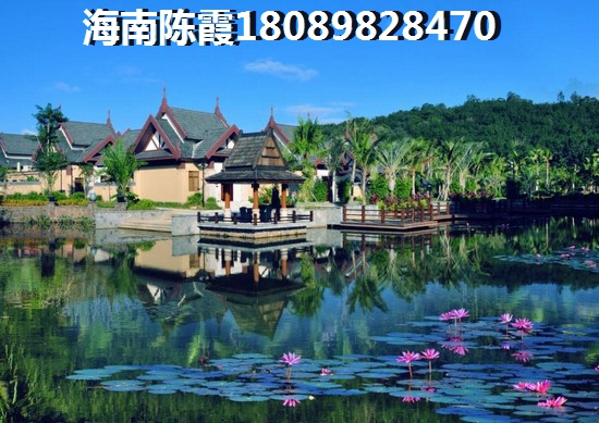 乐东房价2024年醉新房价（乐东房价有多恐怖）
