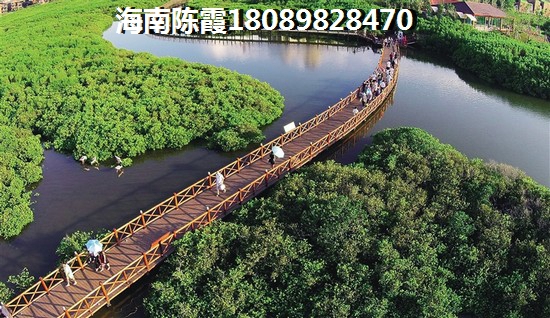 海南房价为什么高1