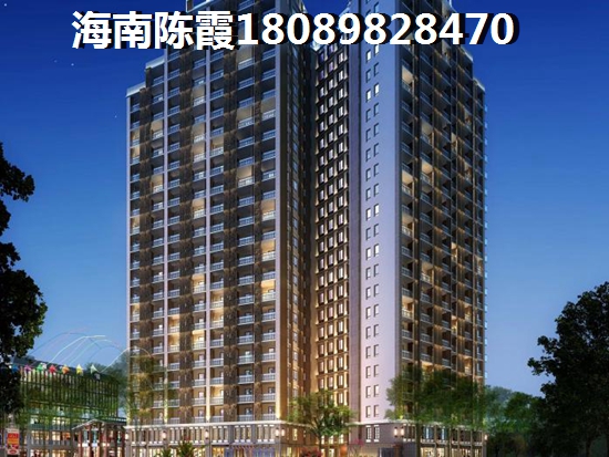 乐东买房