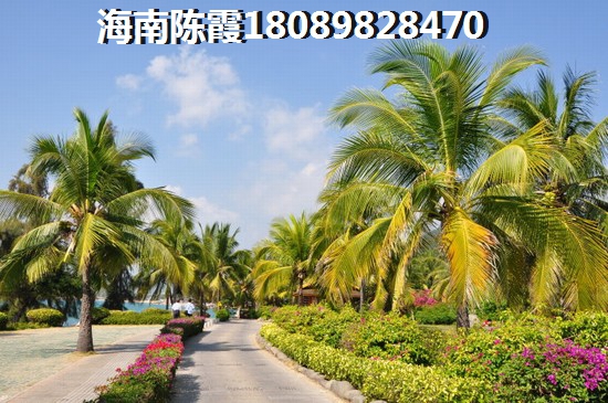 外地人来海南买房子区域选哪里？