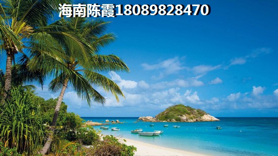 乐东龙栖湾醉新开发计划