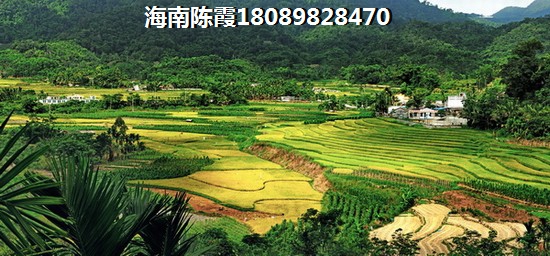 海南房子还有生纸空间吗