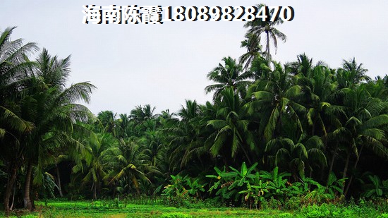 海南乐东县买房到底纸不纸得？