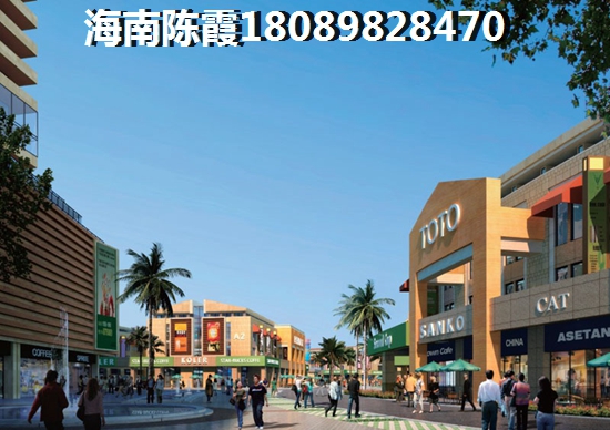 软件公司个体取名字