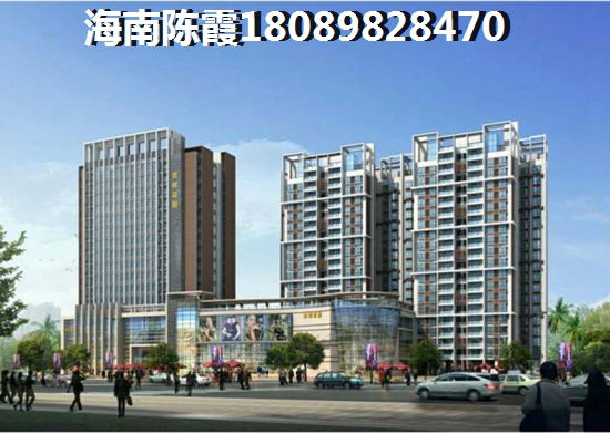 乐东九所镇的房价2025多少一个平方（乐东九所为什么房价升那么急）