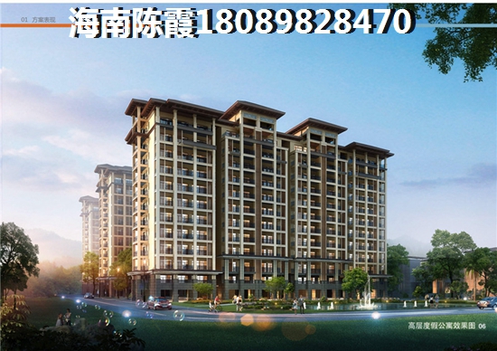 海南乐东县买房touzi价纸是什么？